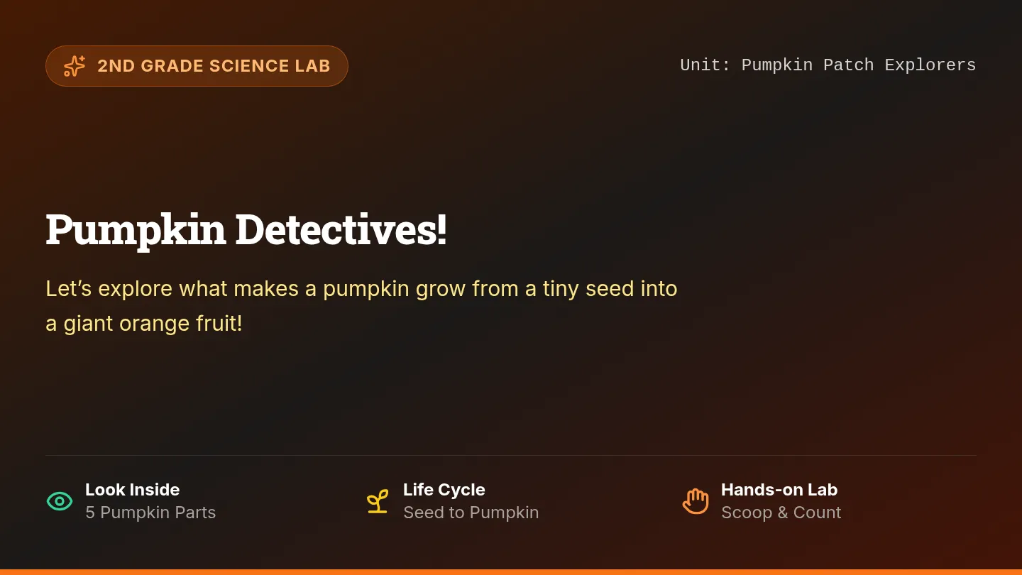 Pumpkin Anatomy Slides