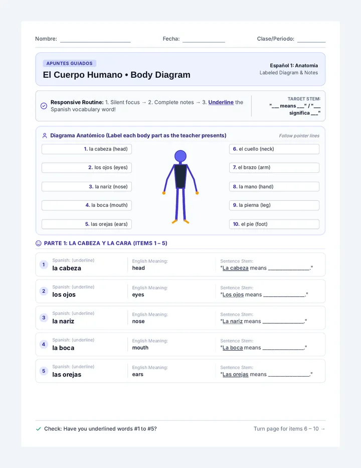 Body Diagram Guided Notes
