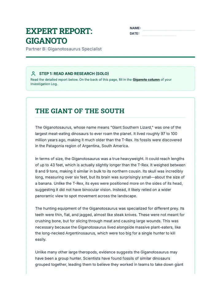 Giganoto Expert Sheet