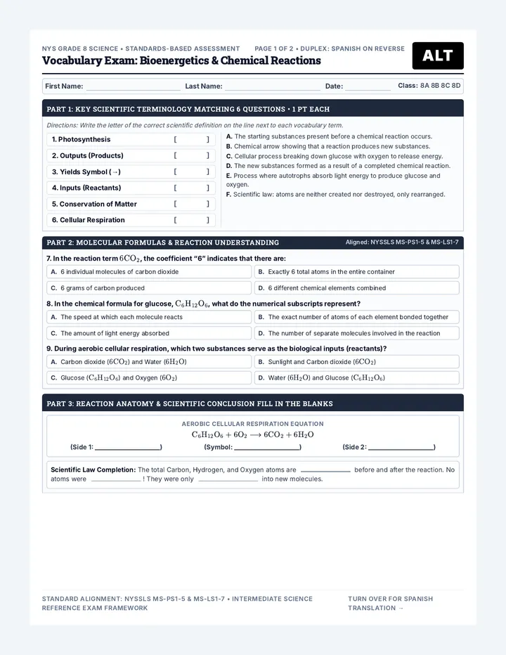 Bioenergetics Alternate Exam