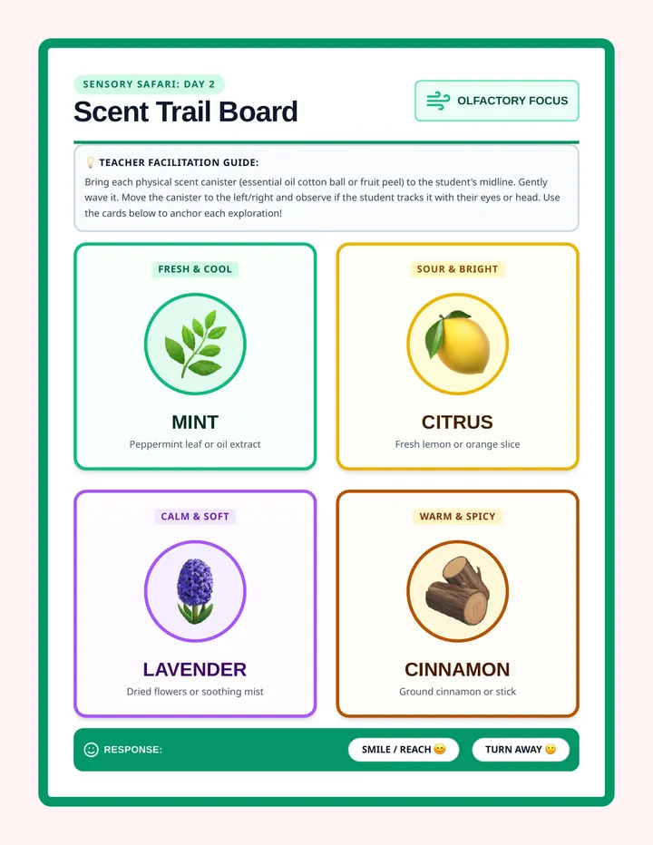 Scent Trail Story Board