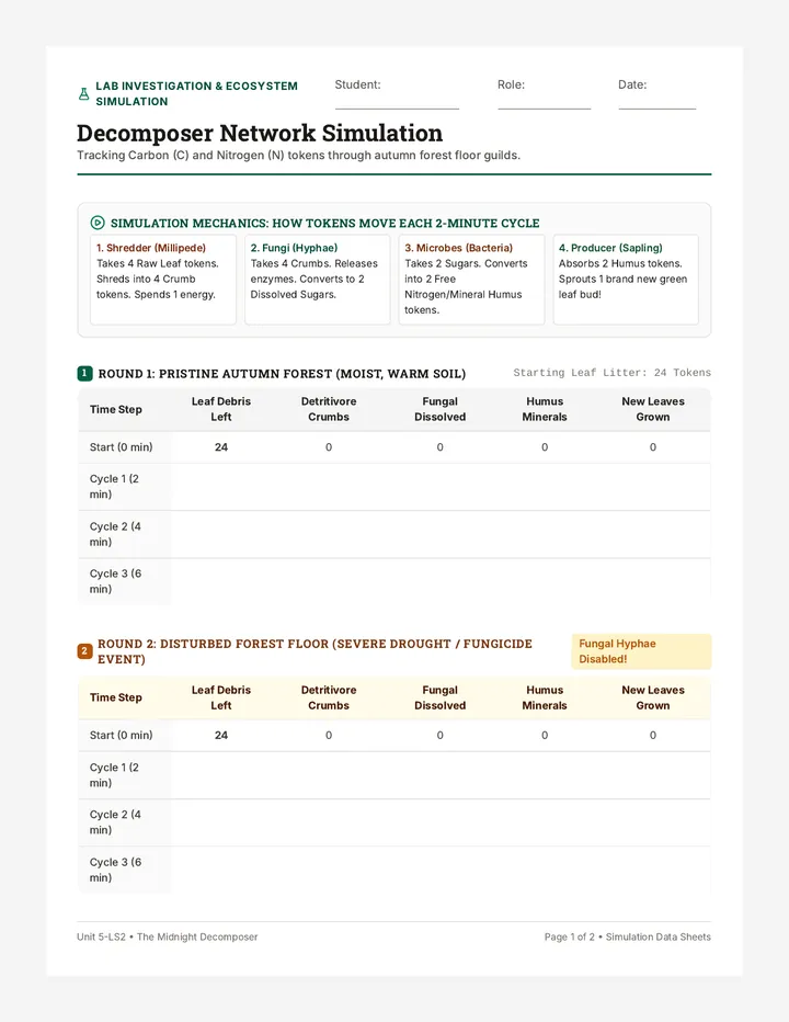 Decomposer Network Activity Sheet
