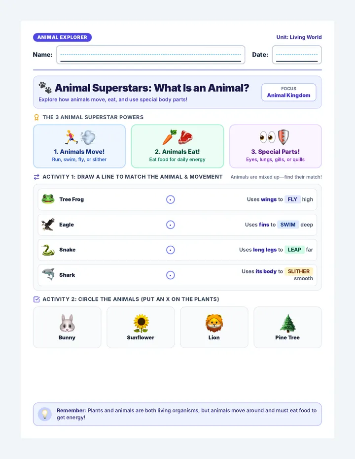 Animal Kingdom Activity Sheet