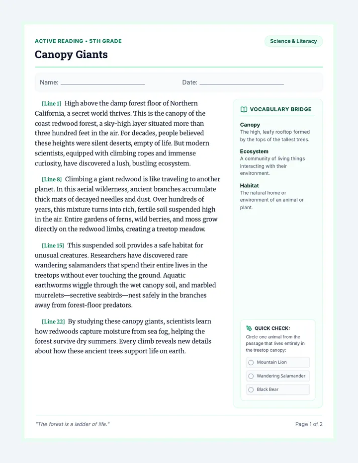 Canopy Giants Activity