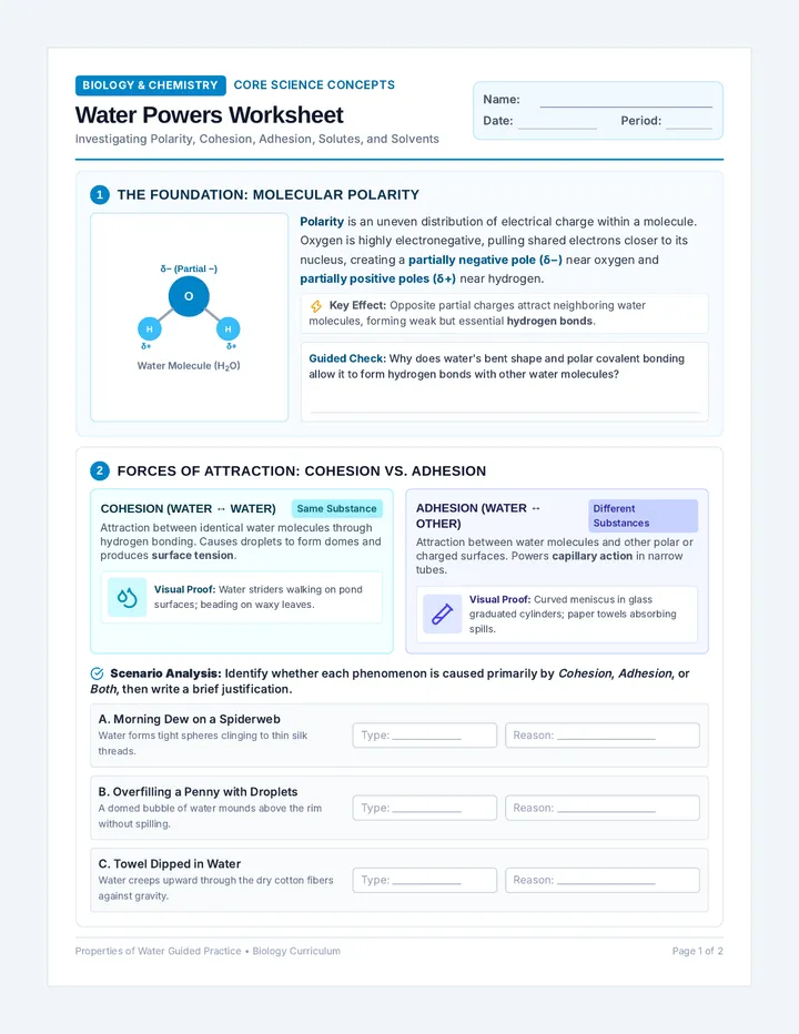 Water Powers Worksheet