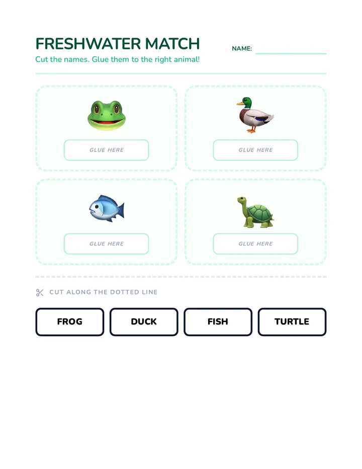 Freshwater Match Activity