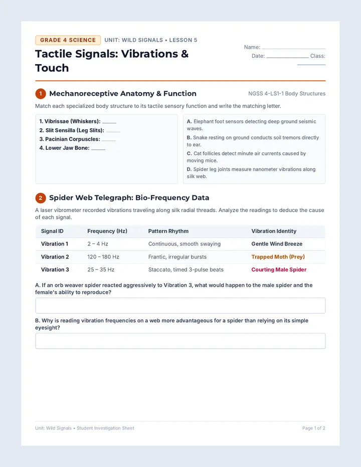 Tactile Signals Worksheet