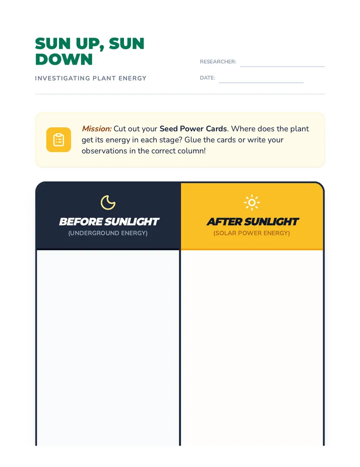 Sun Up Sun Down Worksheet