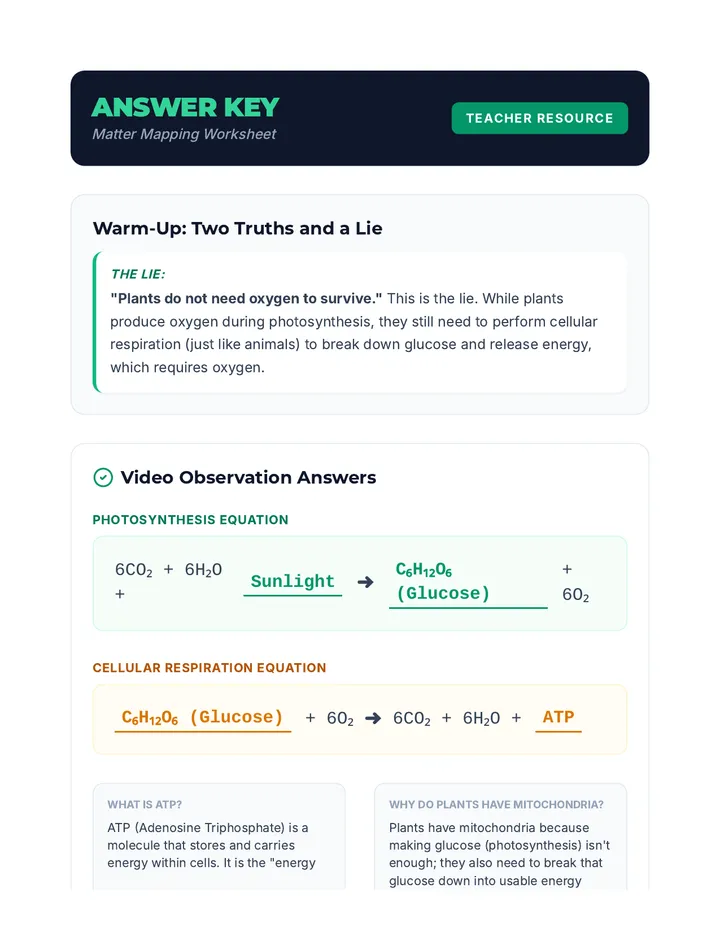 The Energy Loop • Lesson • Lenny.com