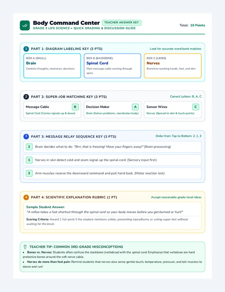 Nerve Explorer Answer Key