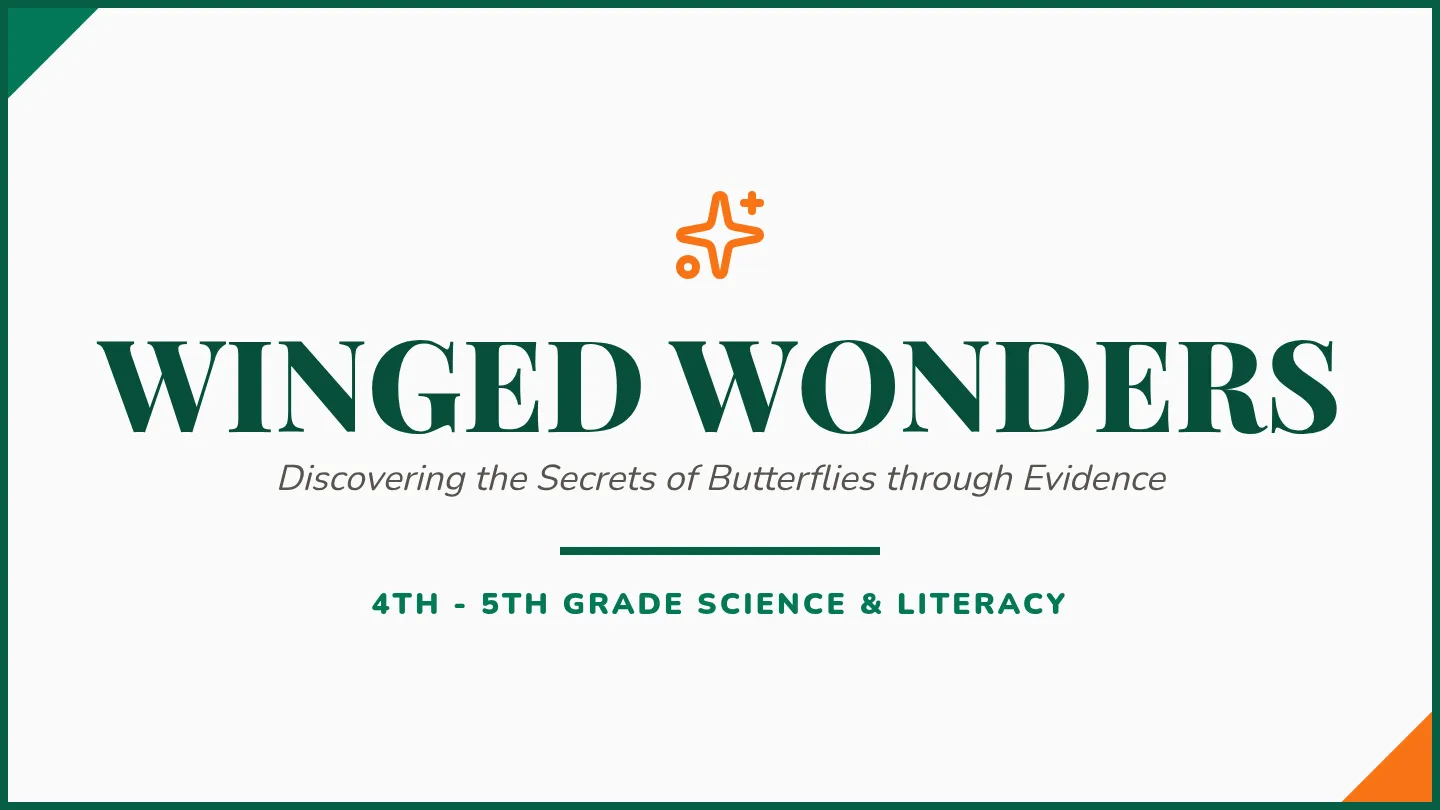 Winged Wonders Slides