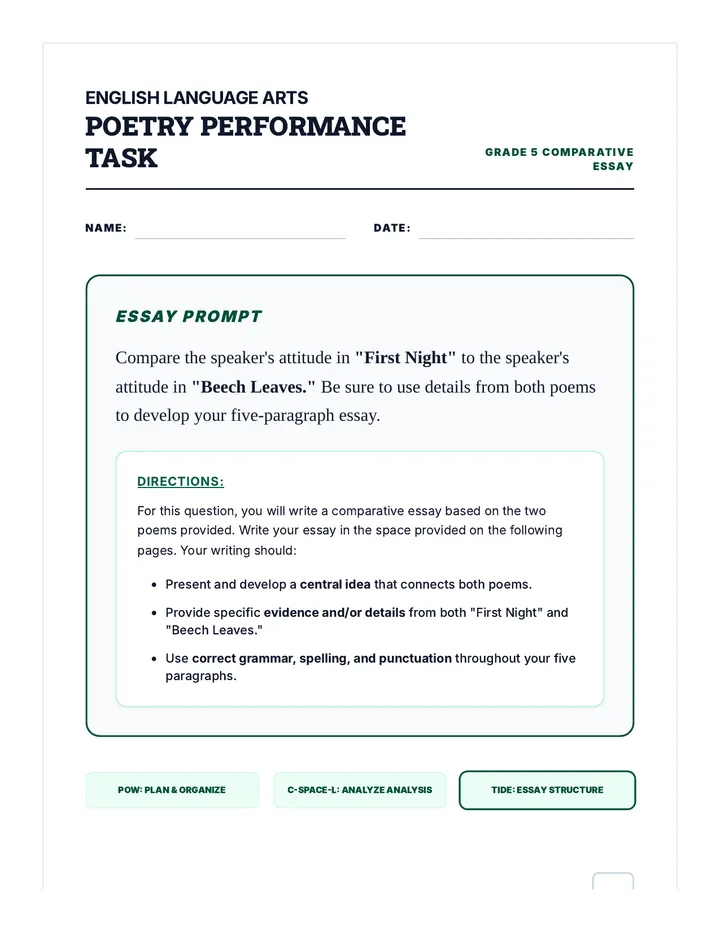 Poetic Voices Essay Task