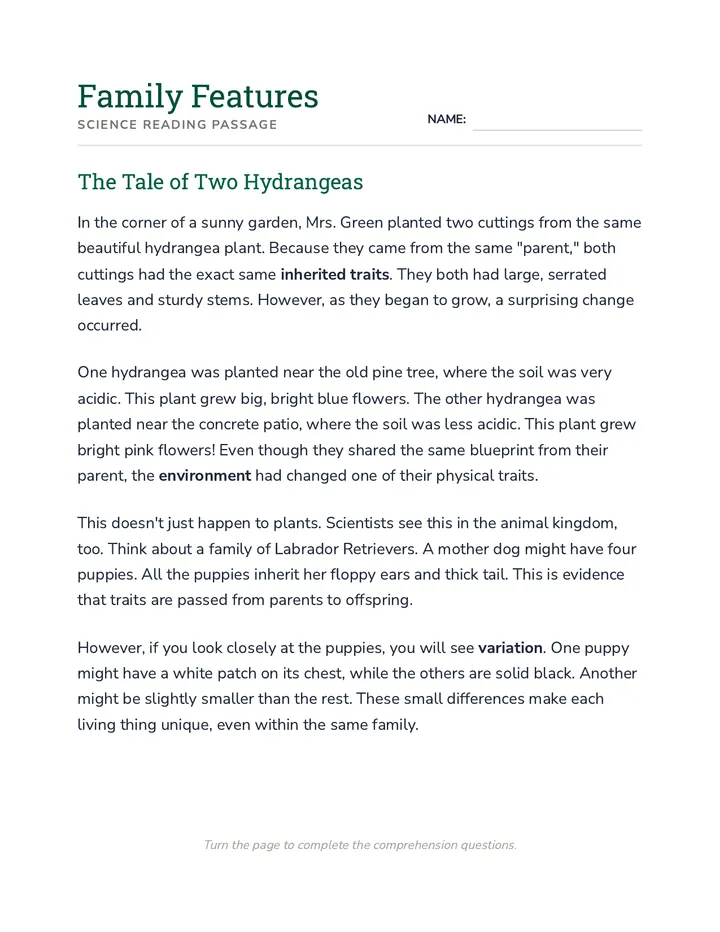 Family Features Reading Passage