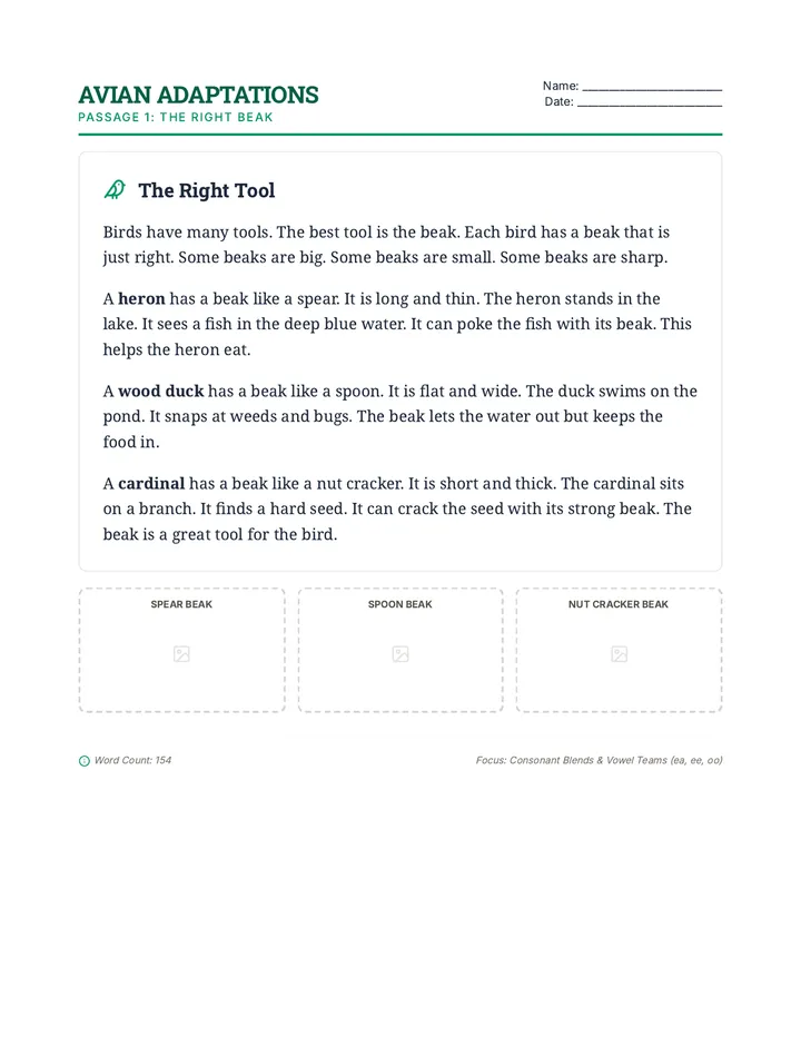 The Right Beak Passage 1