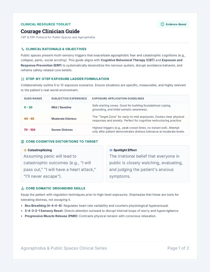 Courage Clinician Guide