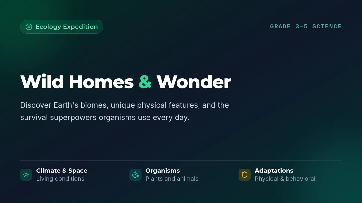 Wild Homes Slides