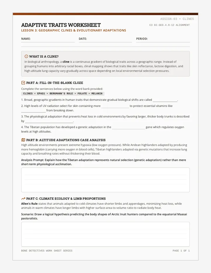 Adaptive Traits Worksheet