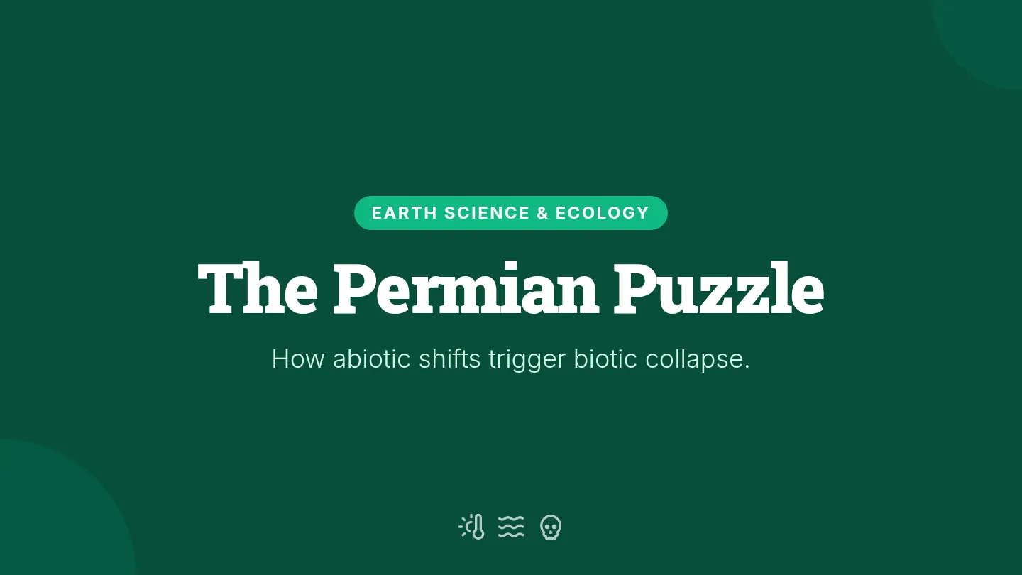 Permian Puzzle Slides