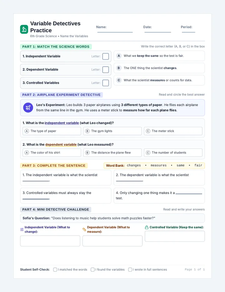 Variable Detectives Practice Worksheet