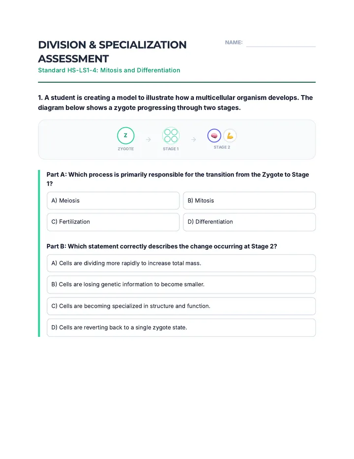 Division Dynamics Assessment Worksheet