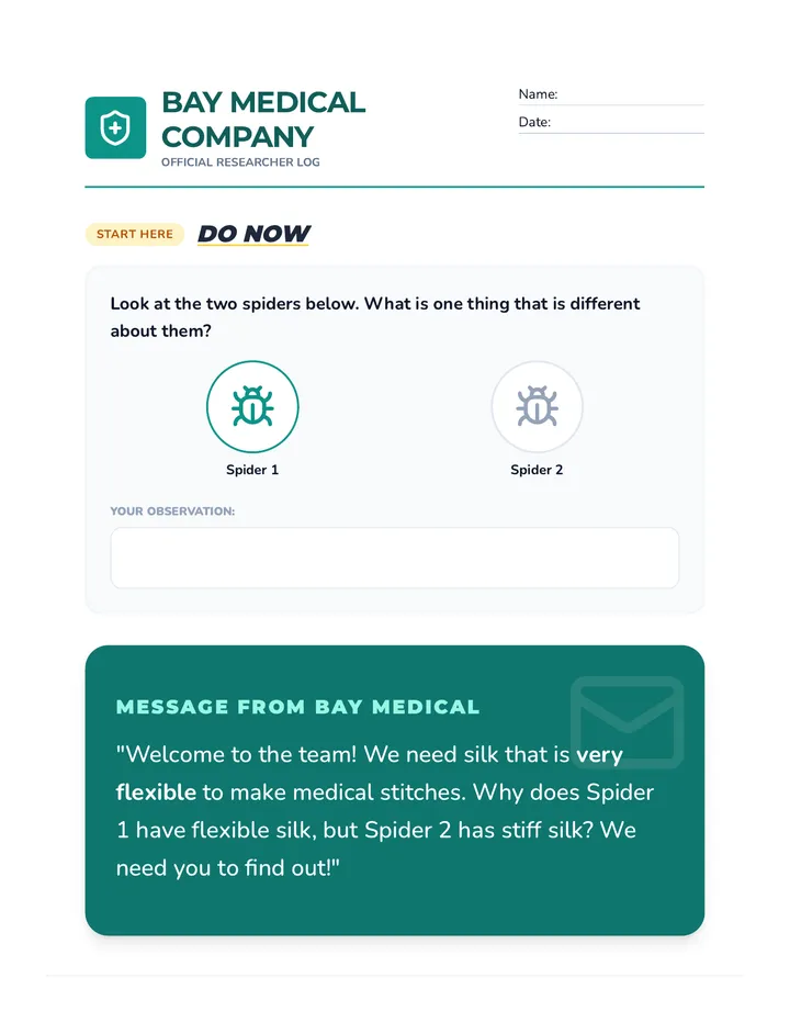 Spider Silk Workbook