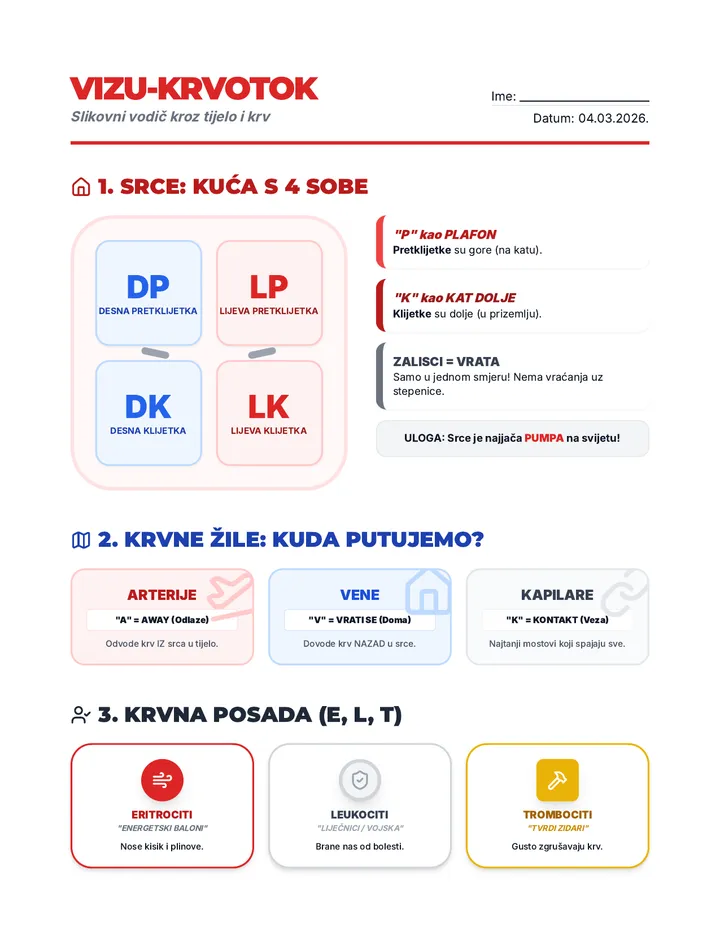 Vizu Krvotok Mnemotehnike