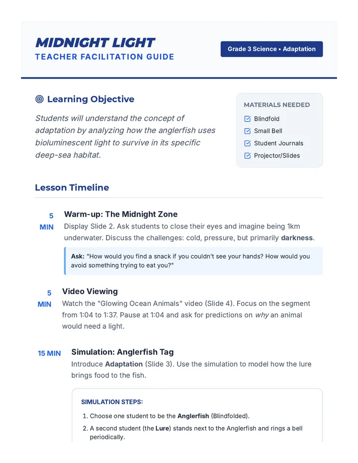 Midnight Light Teacher Guide