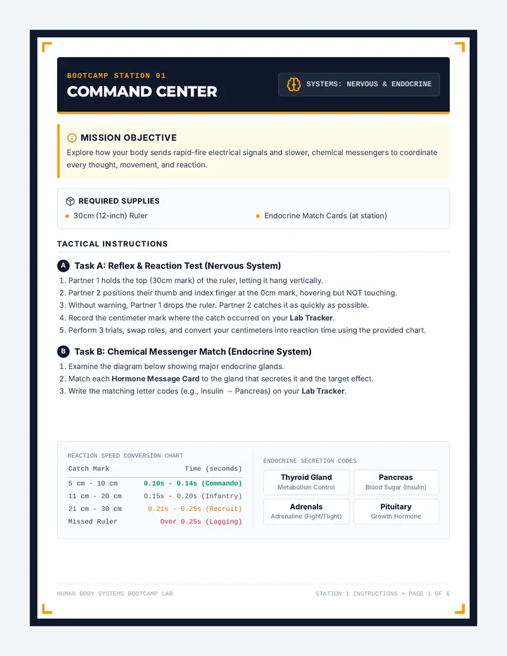 System Bootcamp Stations
