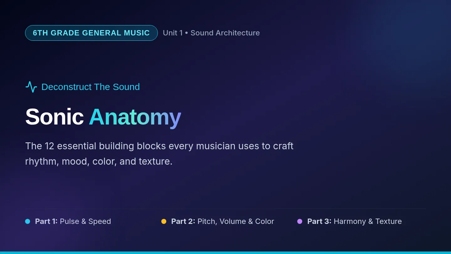 Sonic Anatomy Slides