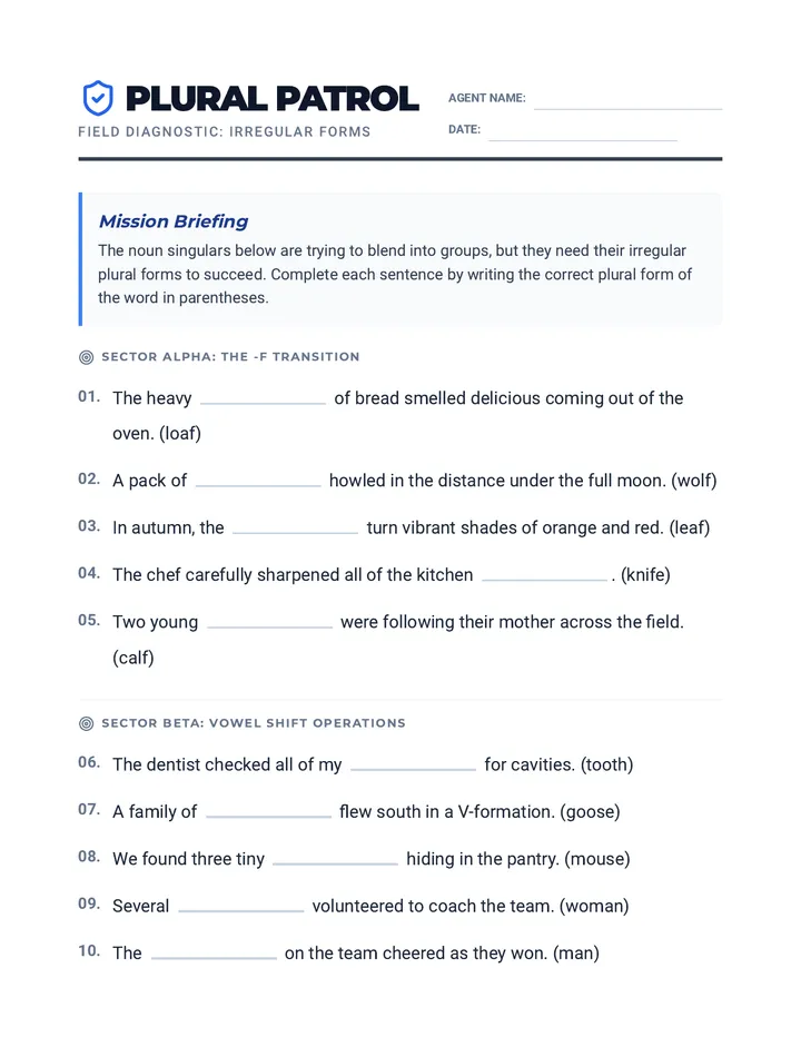 Plural Patrol Worksheet