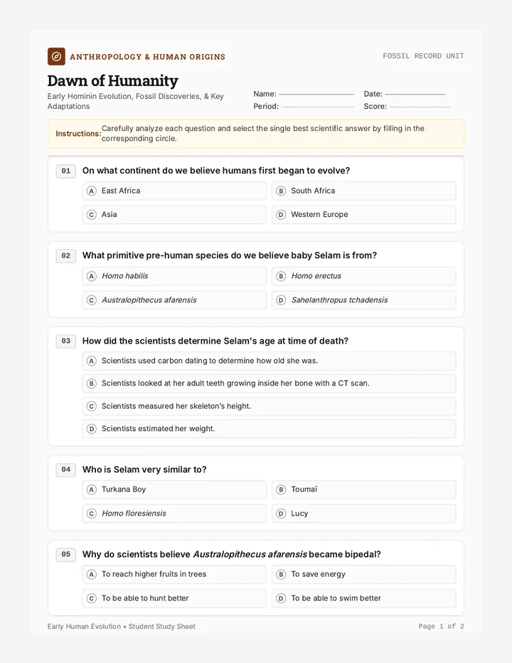 Dawn of Humanity Worksheet