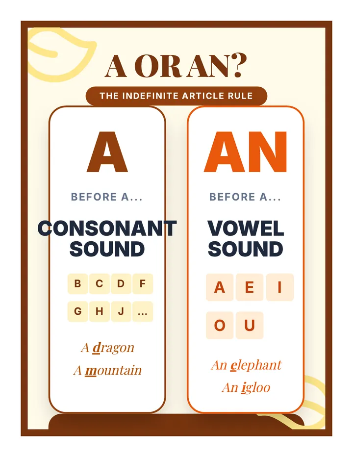 A An Reference Poster