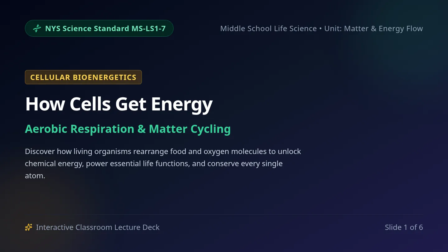 Cell Energy Slides