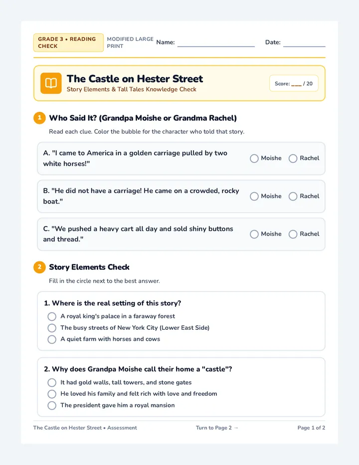Hester Street Story Assessment