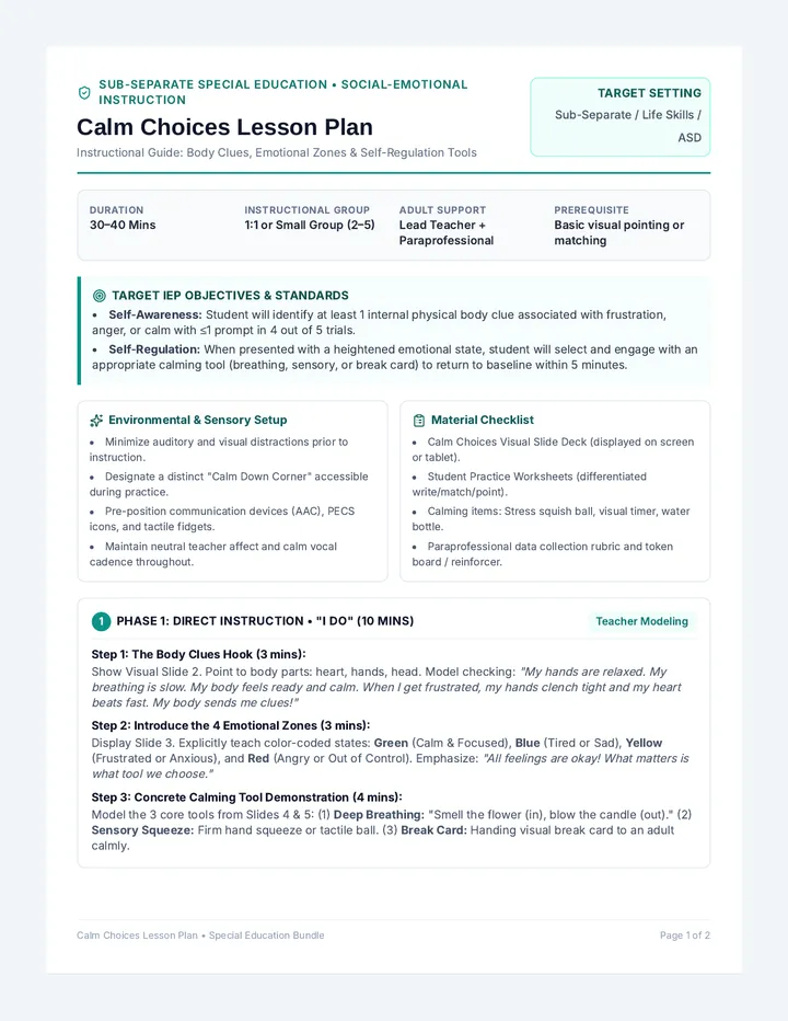 Calm Choices Lesson Plan