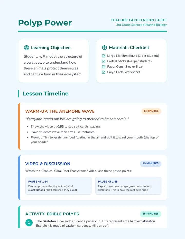 Coral Construction Teacher Guide