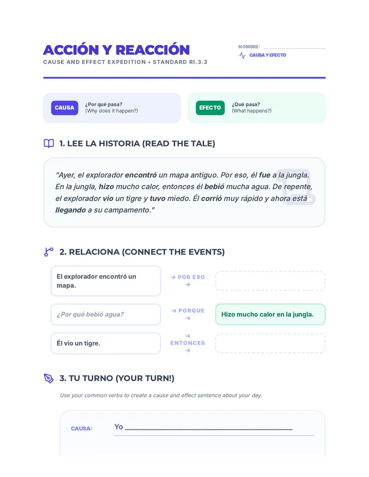 Cause Effect Expedition Worksheet