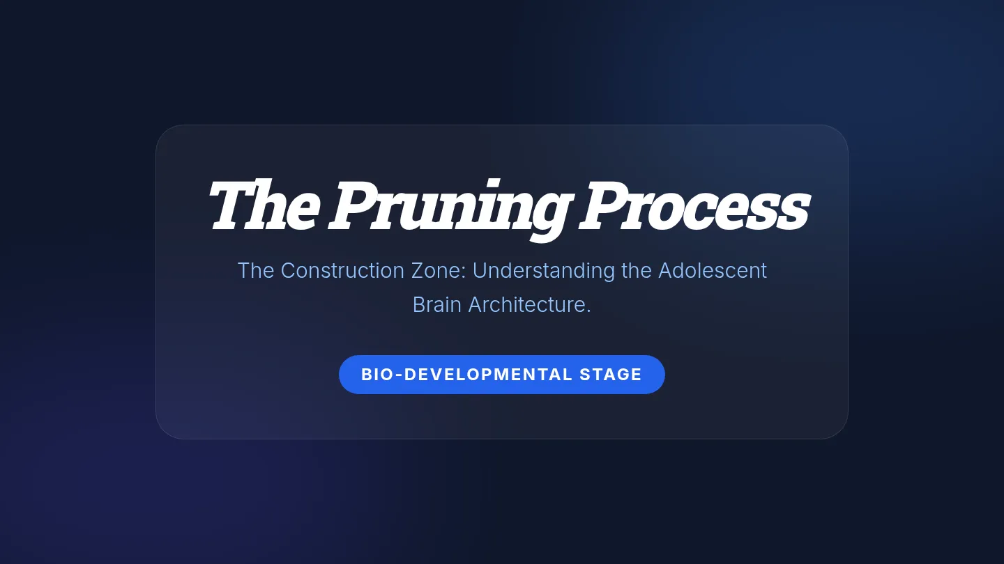 The Pruning Process Slides