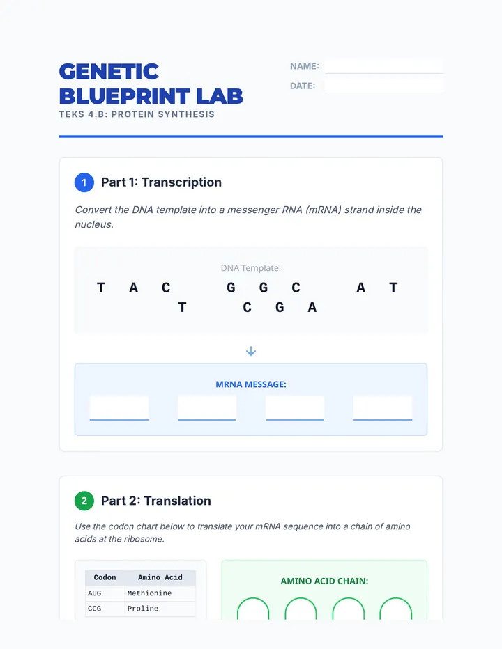 Blueprint Lab Sheet