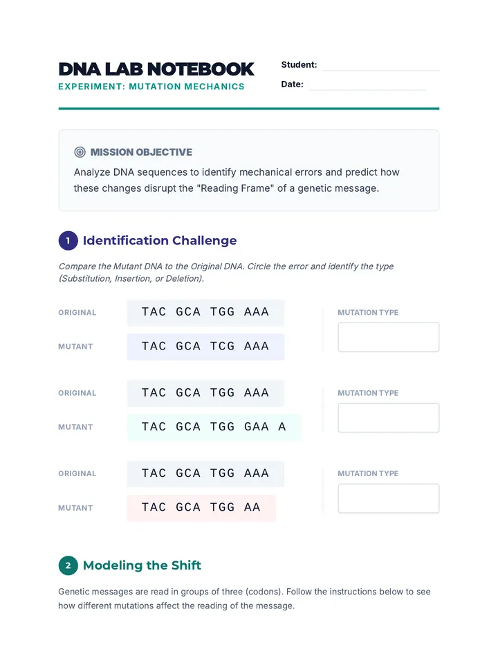 Mutation Mechanics Worksheet