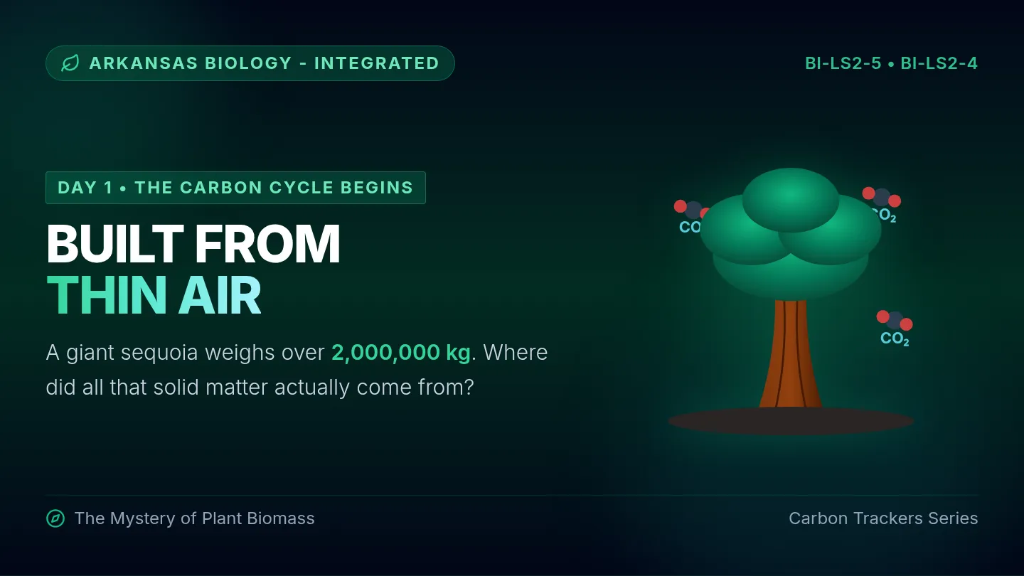 Carbon Trackers Slides