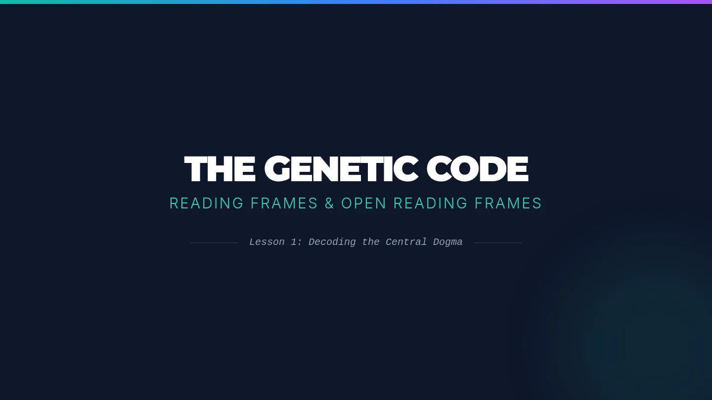 Reading Frames Slides
