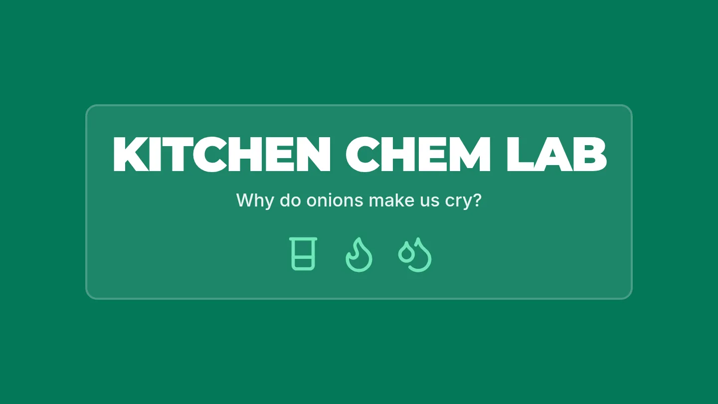 Kitchen Chem Slides