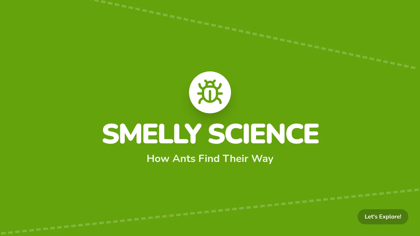 Ant Trackers Slides