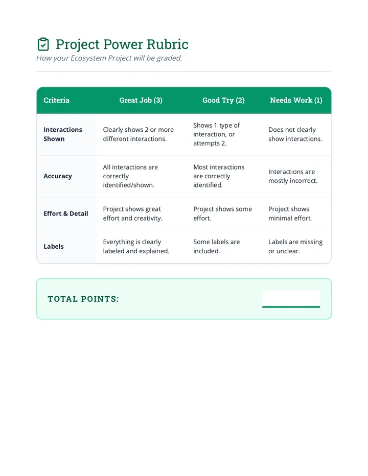 Project Power Rubric Grading Guide
