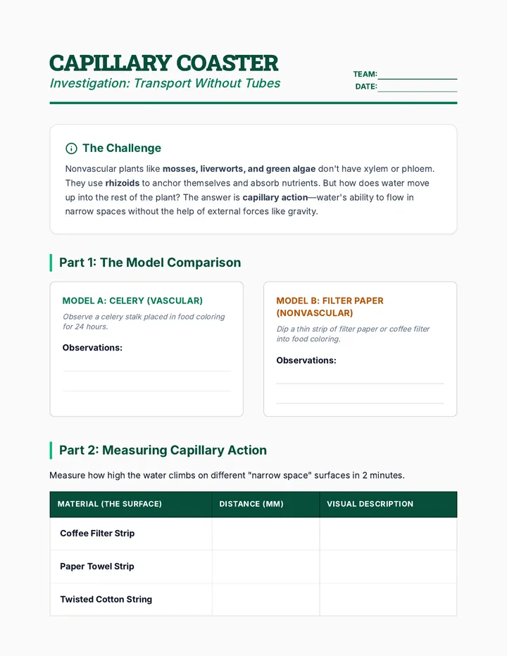 Capillary Coaster Lab Sheet