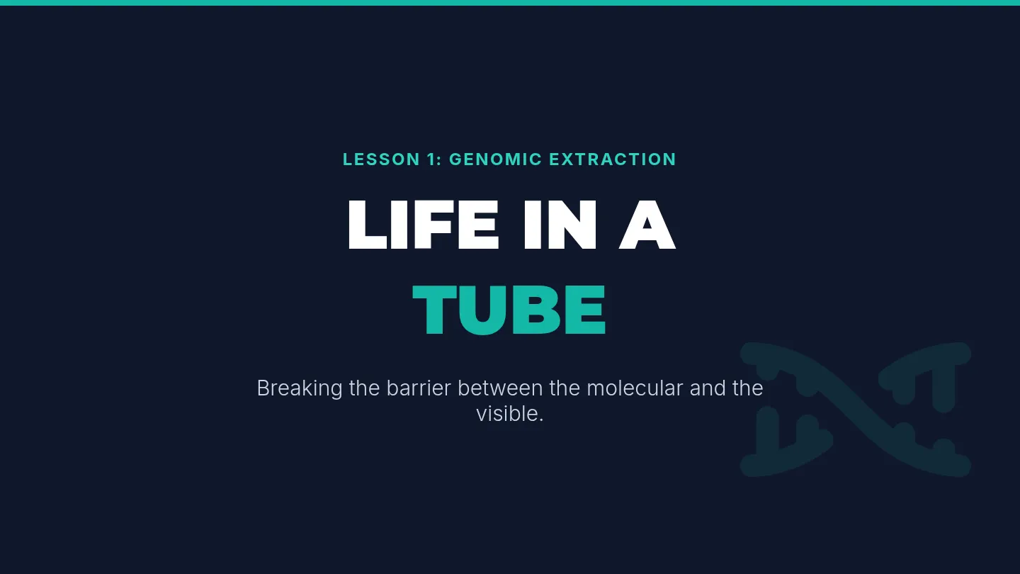 Life in a Tube Slides