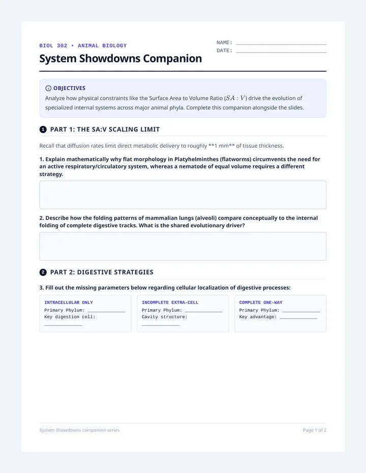 System Showdowns Student Worksheet