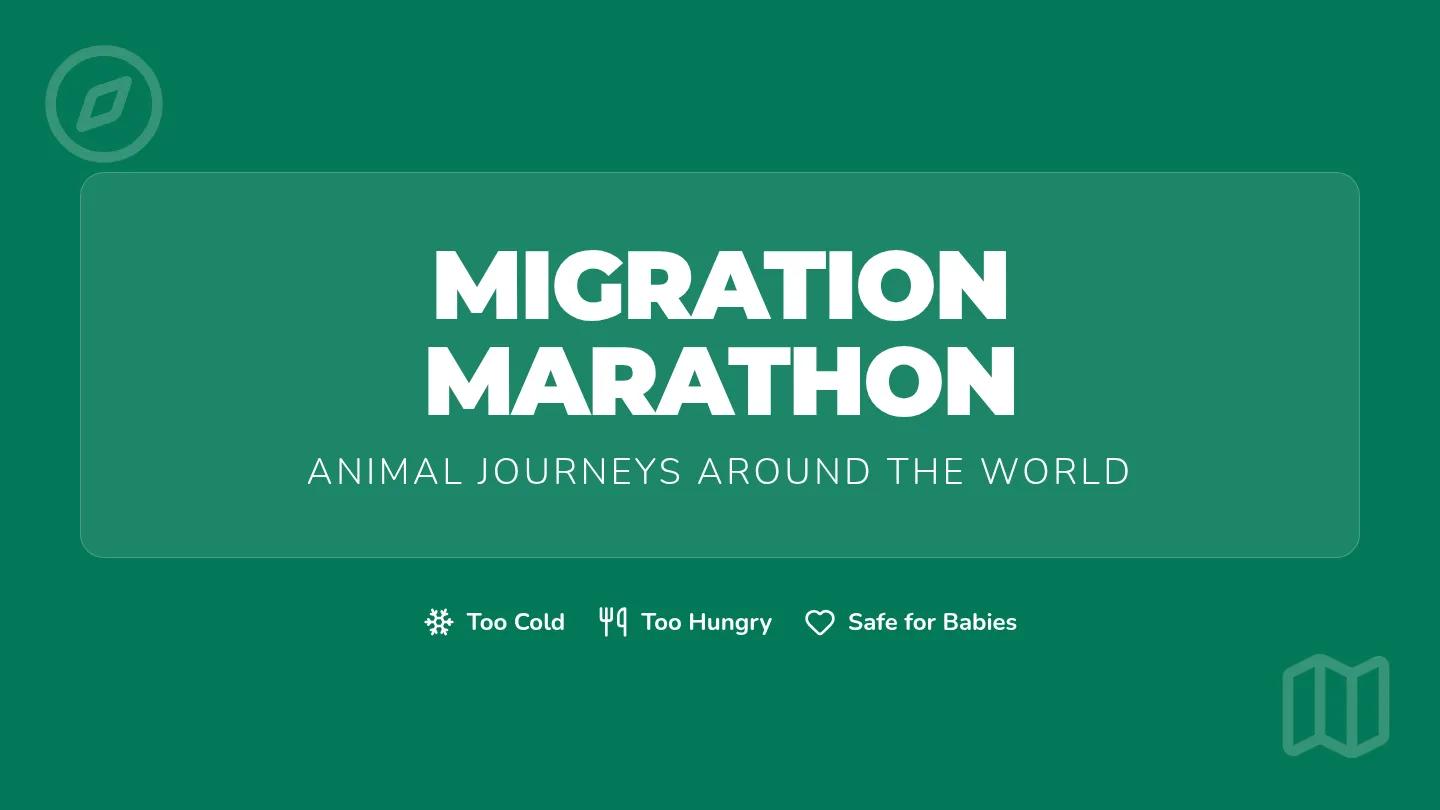 Migration Marathon Slides