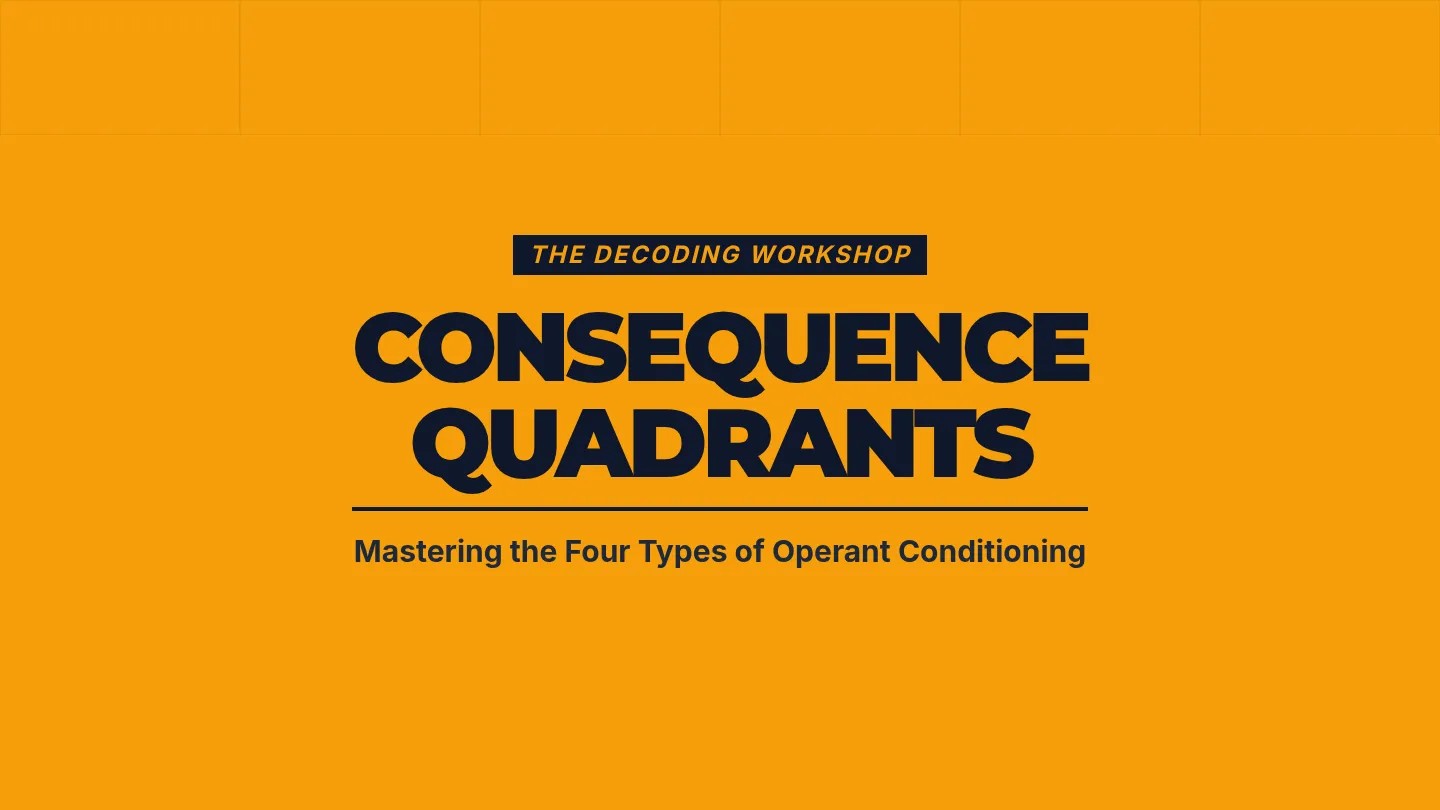 Consequence Quadrants Slides